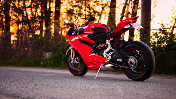 Картинка мотоциклы ducati 1199