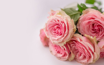 Картинка цветы розы букет