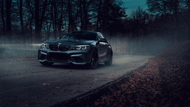 Обои картинки фото автомобили, bmw, m2