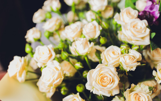 Обои картинки фото цветы, розы, букет, красивые