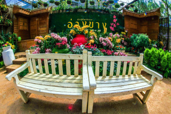 Картинка thailand природа парк