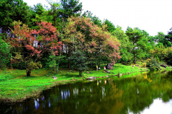 Картинка thailand природа парк