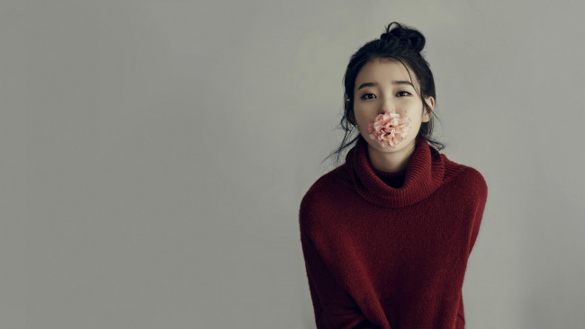 Обои картинки фото девушки, - азиатки, азиатка, свитер, цветок