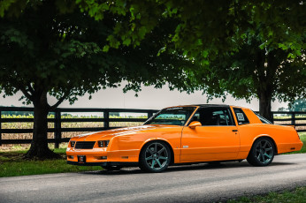 Картинка автомобили chevrolet monte carlo ron and angela s 87