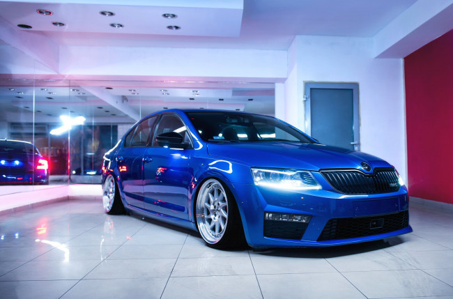 Обои картинки фото автомобили, skoda, blue, front, stance, wheels, octavia