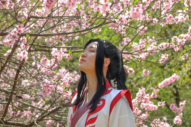 Обои картинки фото девушки, - креатив,  косплей, костюм, дерево, цветение