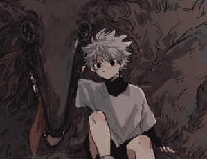 Картинка аниме hunter+x+hunter киллуа