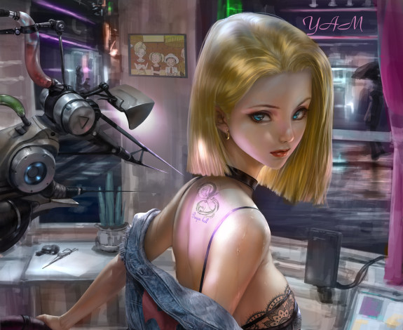 Обои картинки фото аниме, dragon ball, девушка