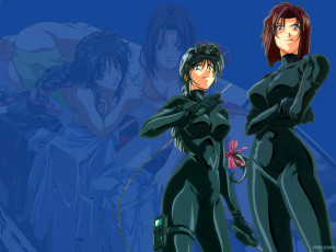 обоя аниме, you`re, under, arrest