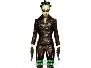 Картинка кино фильмы the matrix reloaded