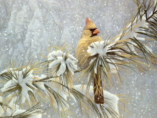 Картинка рисованные животные птицы