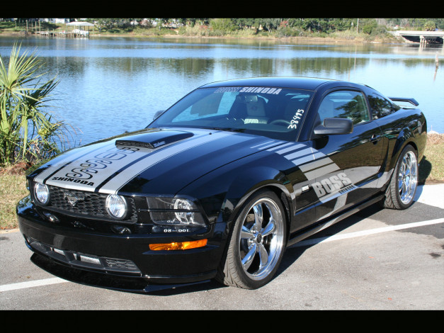 Обои картинки фото автомобили, ford