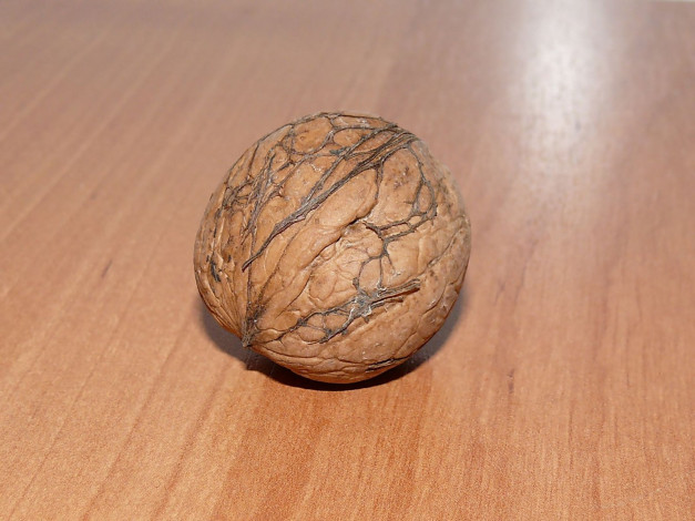 Обои картинки фото еда, орехи, каштаны