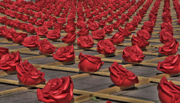 Картинка разное другое zweibrucken germany розы