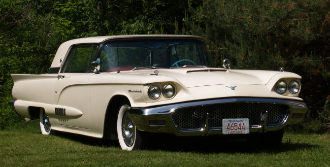 Обои картинки фото автомобили, ford, tbird