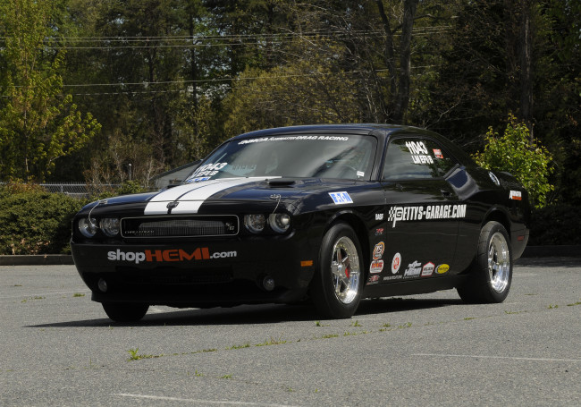 Обои картинки фото автомобили, dodge, challenger