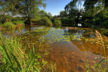 Картинка германия бавария кам природа реки озера мост река деоевья