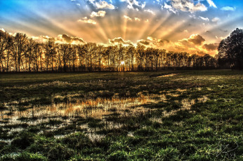 Картинка природа восходы закаты восход деревья