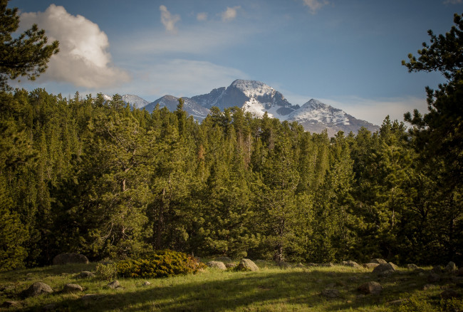 Обои картинки фото rocky, mountain, national, park, colorado, природа, горы, роки-маунтин, колорадо, лес, поляна, деревья