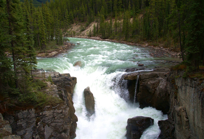 Обои картинки фото природа, реки, озера, вода, поток, берега, лес