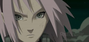 Картинка аниме naruto серьёзность взгляд лицо девушка харуно сакура наруто ураганные хроники манга