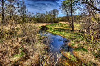 Картинка природа реки озера лес река