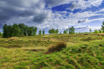 Картинка природа пейзажи простор