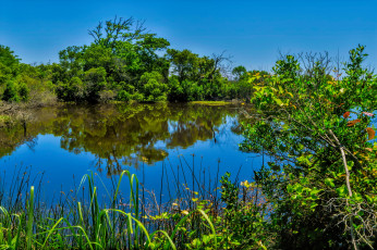 Картинка природа реки озера лес река