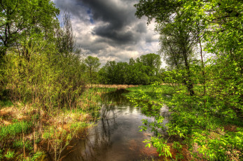 Картинка природа реки озера лес река