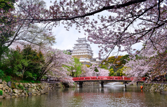 Обои картинки фото города, замки Японии, замок, парк