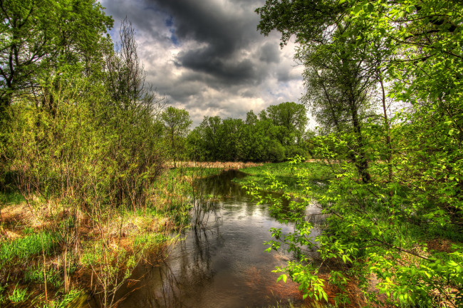 Обои картинки фото природа, реки, озера, лес, река