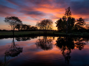 Картинка природа реки озера река лес