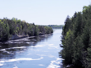 Картинка природа реки озера река лето деревья