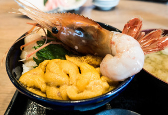 Картинка еда рыба +морепродукты +суши +роллы деликатесы