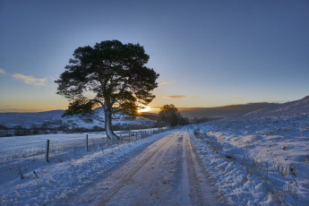 Картинка природа дороги тракт