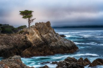 Картинка природа побережье рассвет