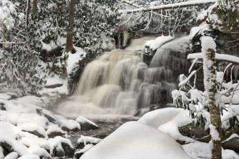 Картинка природа зима снег