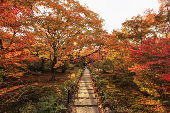 Картинка природа дороги тракт