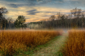 Картинка природа дороги тракт