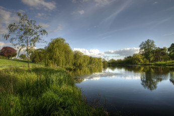 Картинка природа реки озера лес река