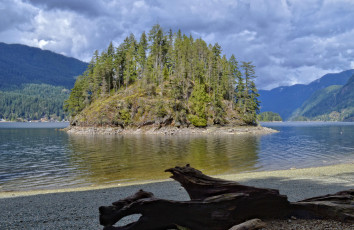 Картинка природа реки озера река лес