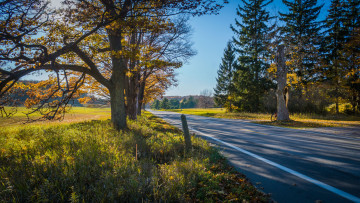 Картинка природа дороги тракт