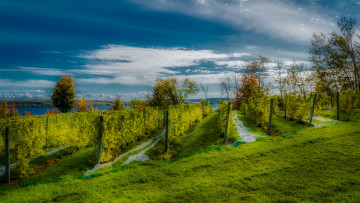 Картинка природа пейзажи простор