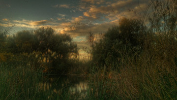 Картинка природа реки озера река лес