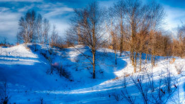 Картинка природа зима снег