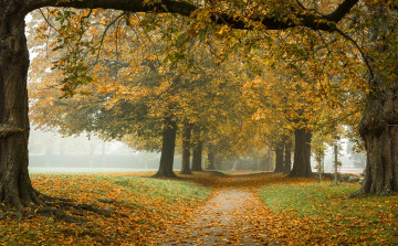 Картинка природа дороги тракт