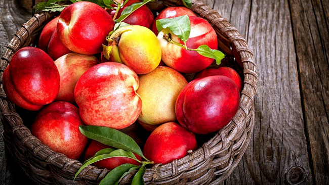 Обои картинки фото еда, персики,  сливы,  абрикосы, нектарины, корзинка