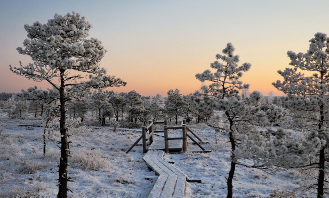 Обои картинки фото природа, зима, снег