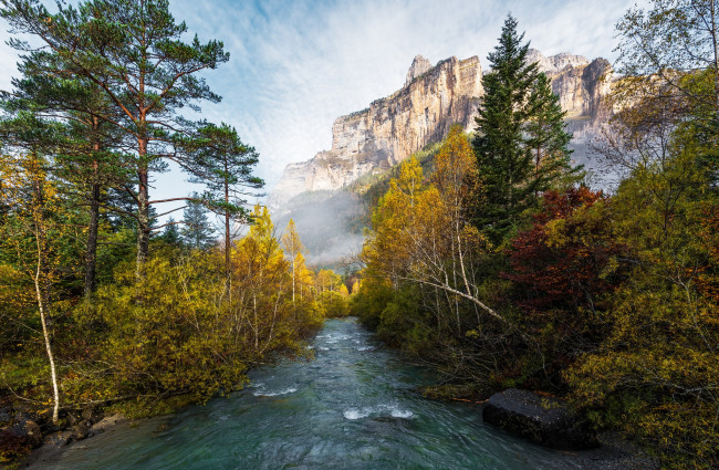 Обои картинки фото природа, реки, озера, река, лес