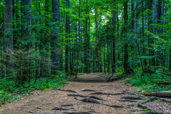 Обои картинки фото природа, дороги, тракт